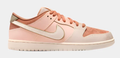 Nike SB Dunk Low Pro Premium ‘Trocadéro Gardens’